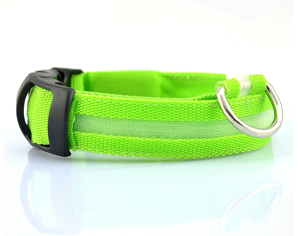 Palkar svítící obojek z popruhu pro psy 37-49 cm x 25 mm zelená