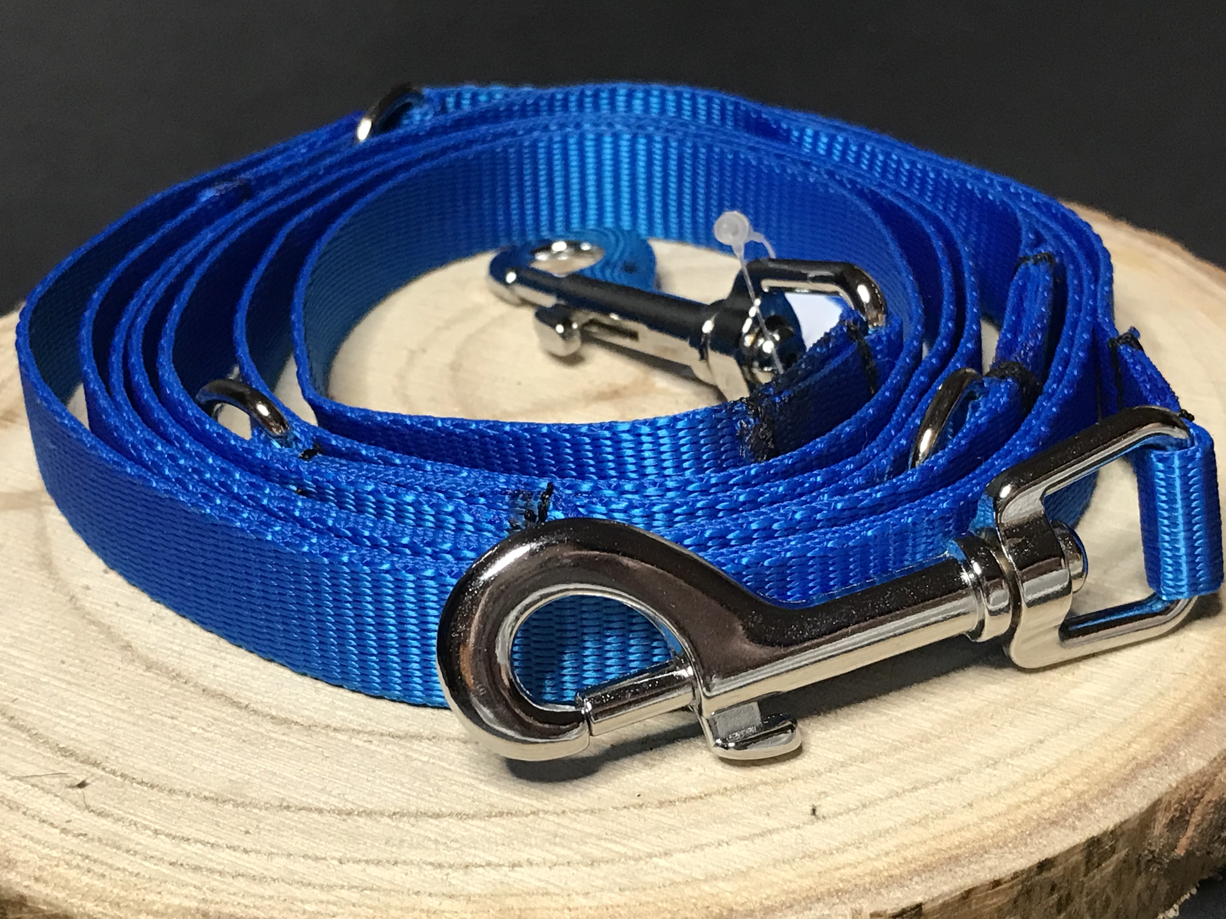 Palkar vodítko přepínací z popruhu pro psy 250 cm x 16 mm modrá