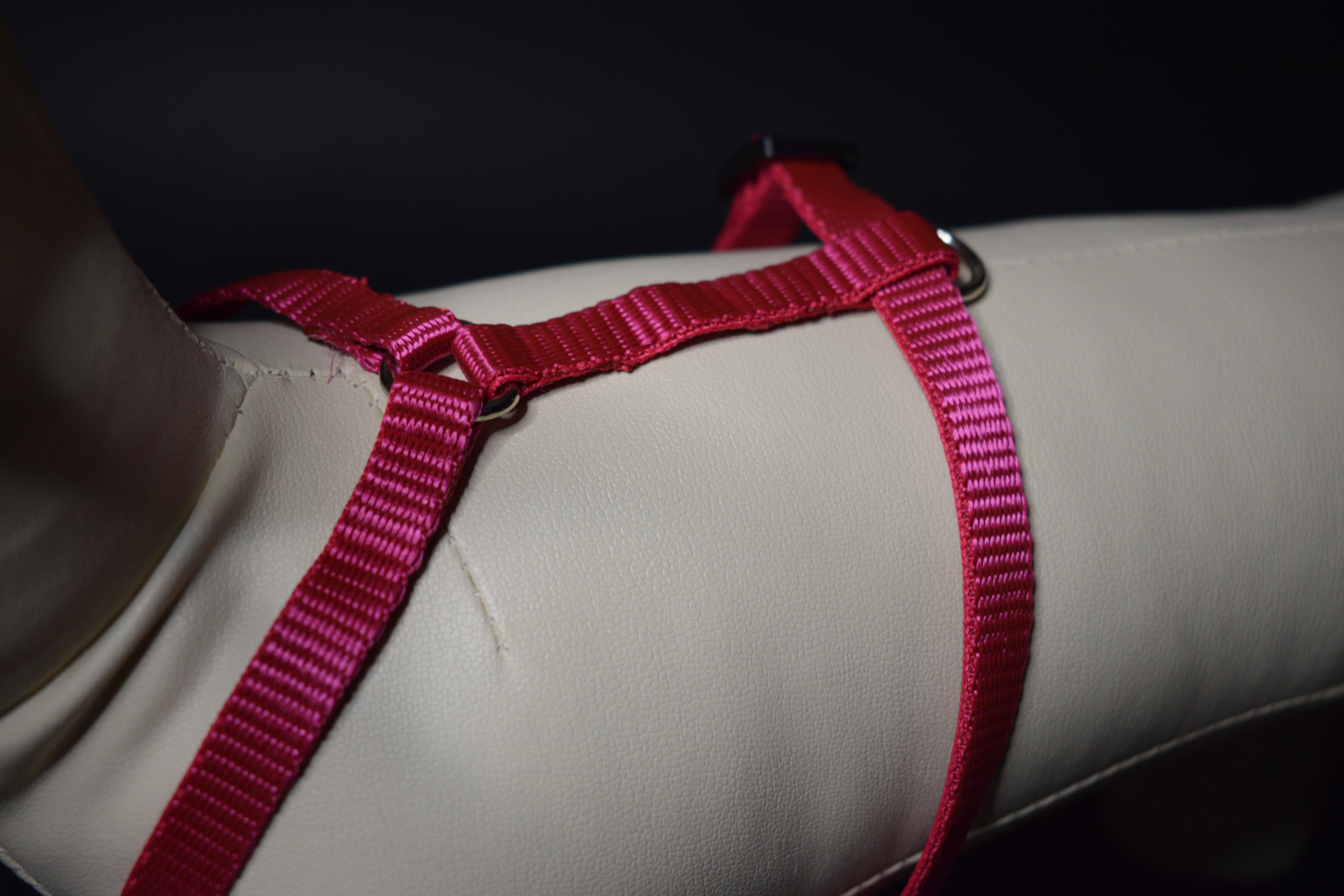 Palkar klasický postroj pro psy 22 cm - 40 cm vel. 1 fialová