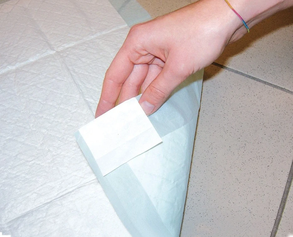 Record plenová podložka BestBone 60 x 60cm 580g s lepícími rožky 10+1ks ZDARMA