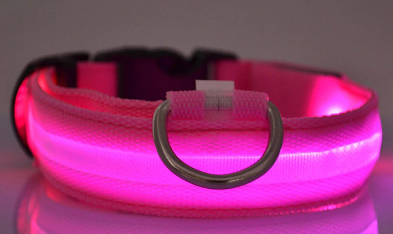Palkar svítící obojek z popruhu pro psy 18-27 cm x 15 mm růžová