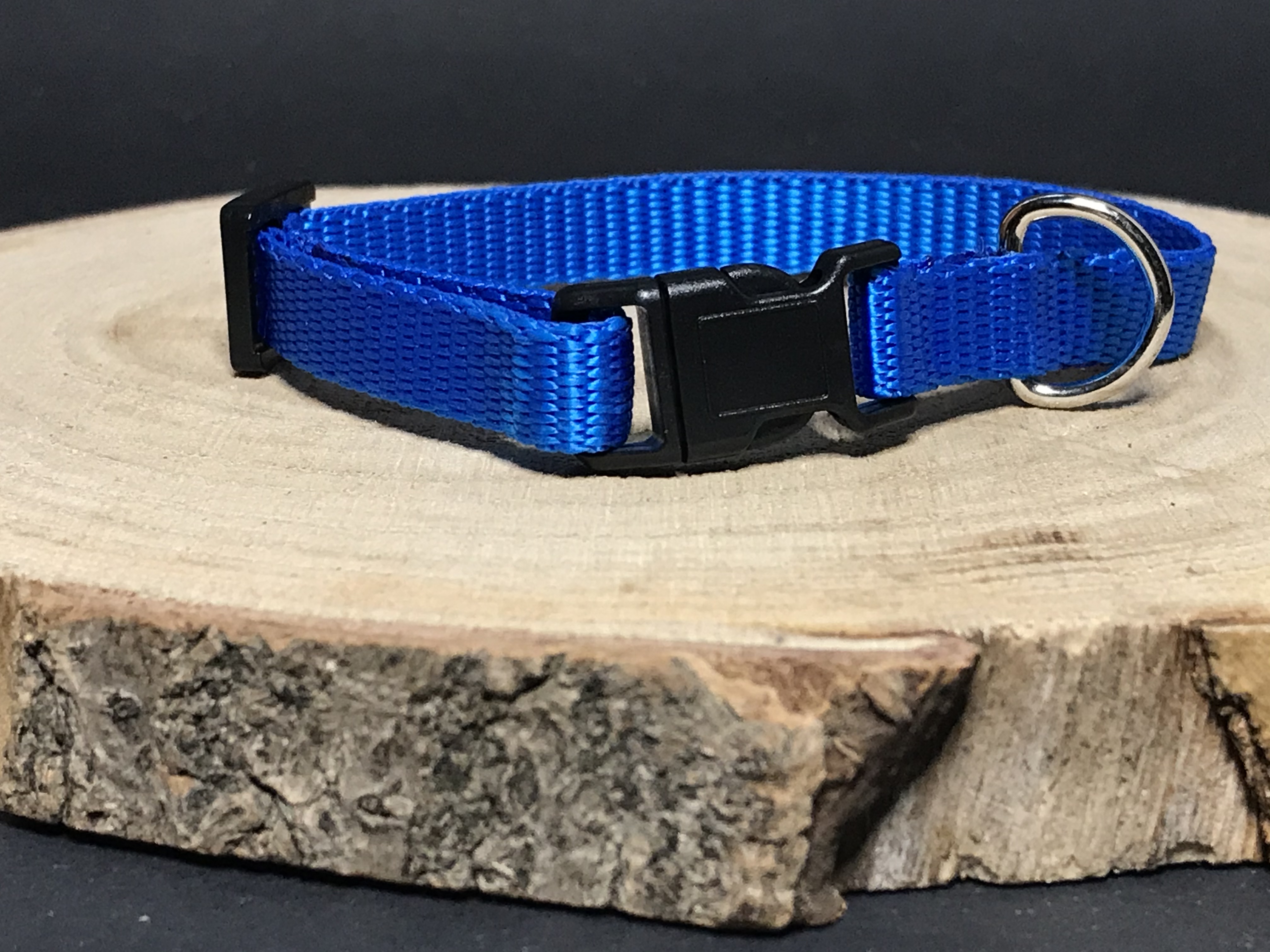 Palkar obojek z popruhu pro psy 25 cm x 10 mm modrá