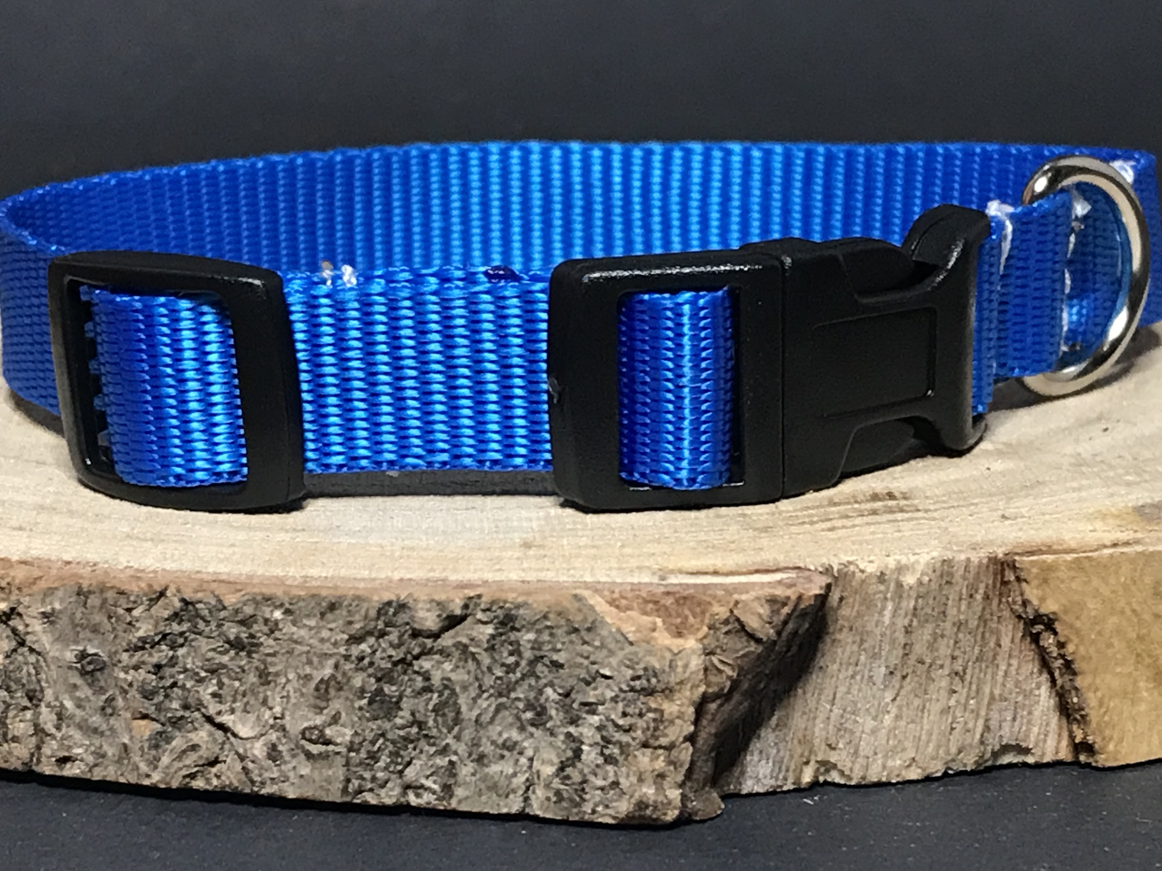 Palkar obojek z popruhu pro psy 35 cm x 16 mm modrá