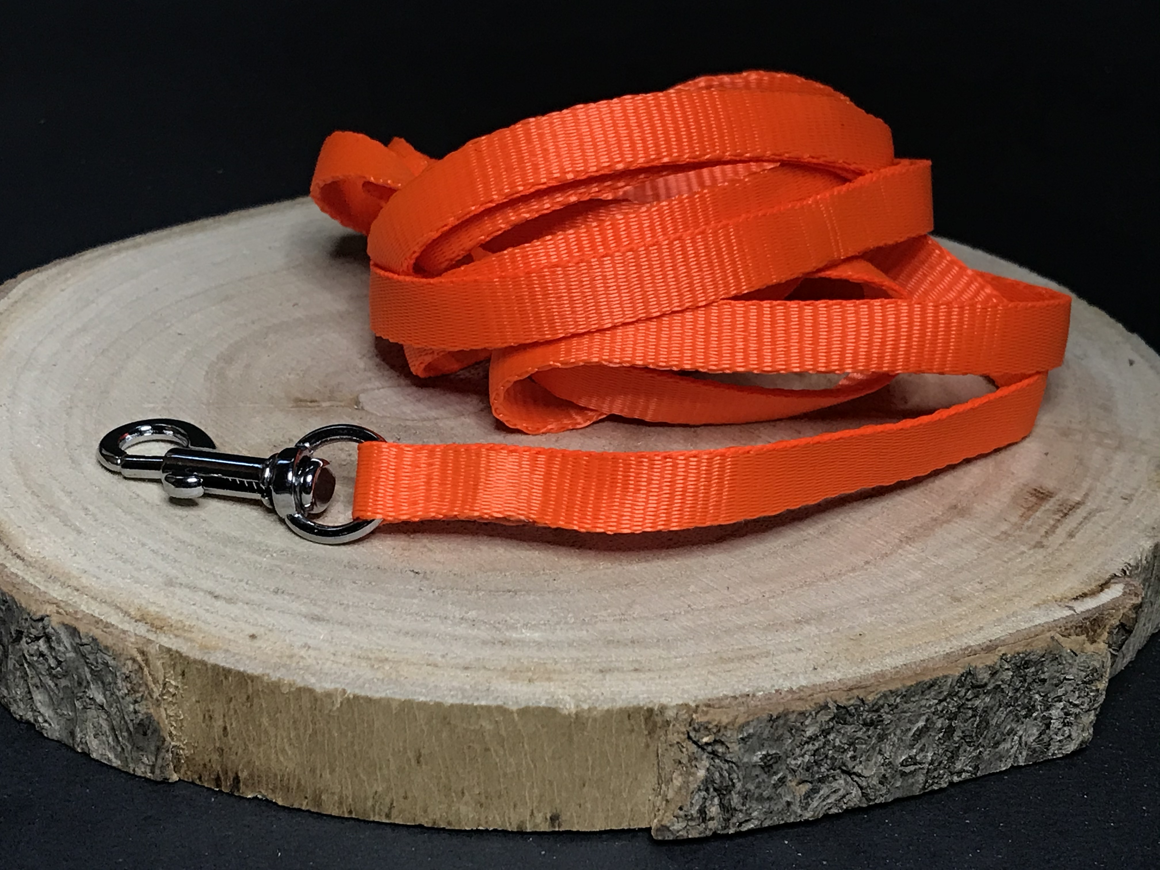 Palkar vodítko z popruhu pro psy 150 cm x 10 mm oranžová
