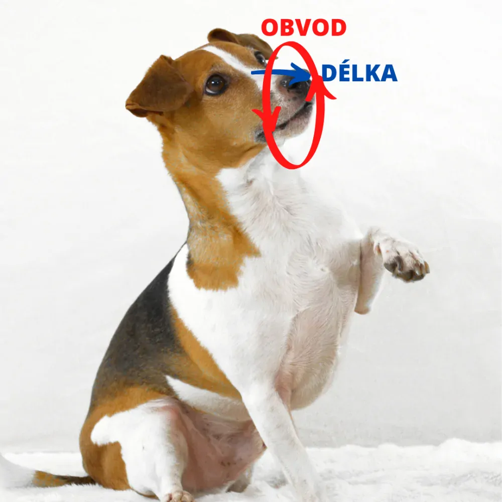 Palkar nylonový náhubek pro psy vel. 0 12 cm x 3 cm černo-zelená