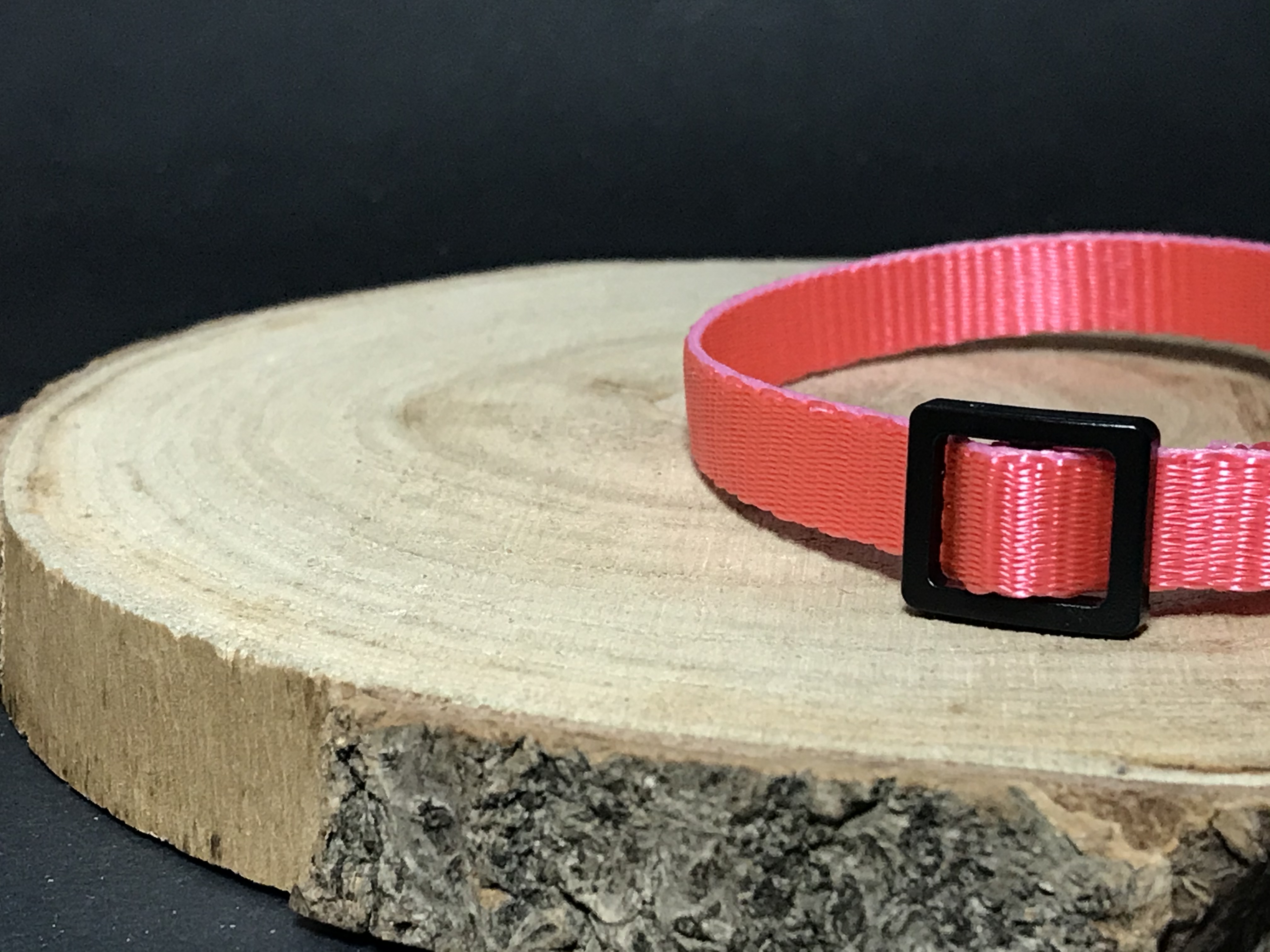 Palkar obojek z popruhu pro psy 25 cm x 10 mm růžová