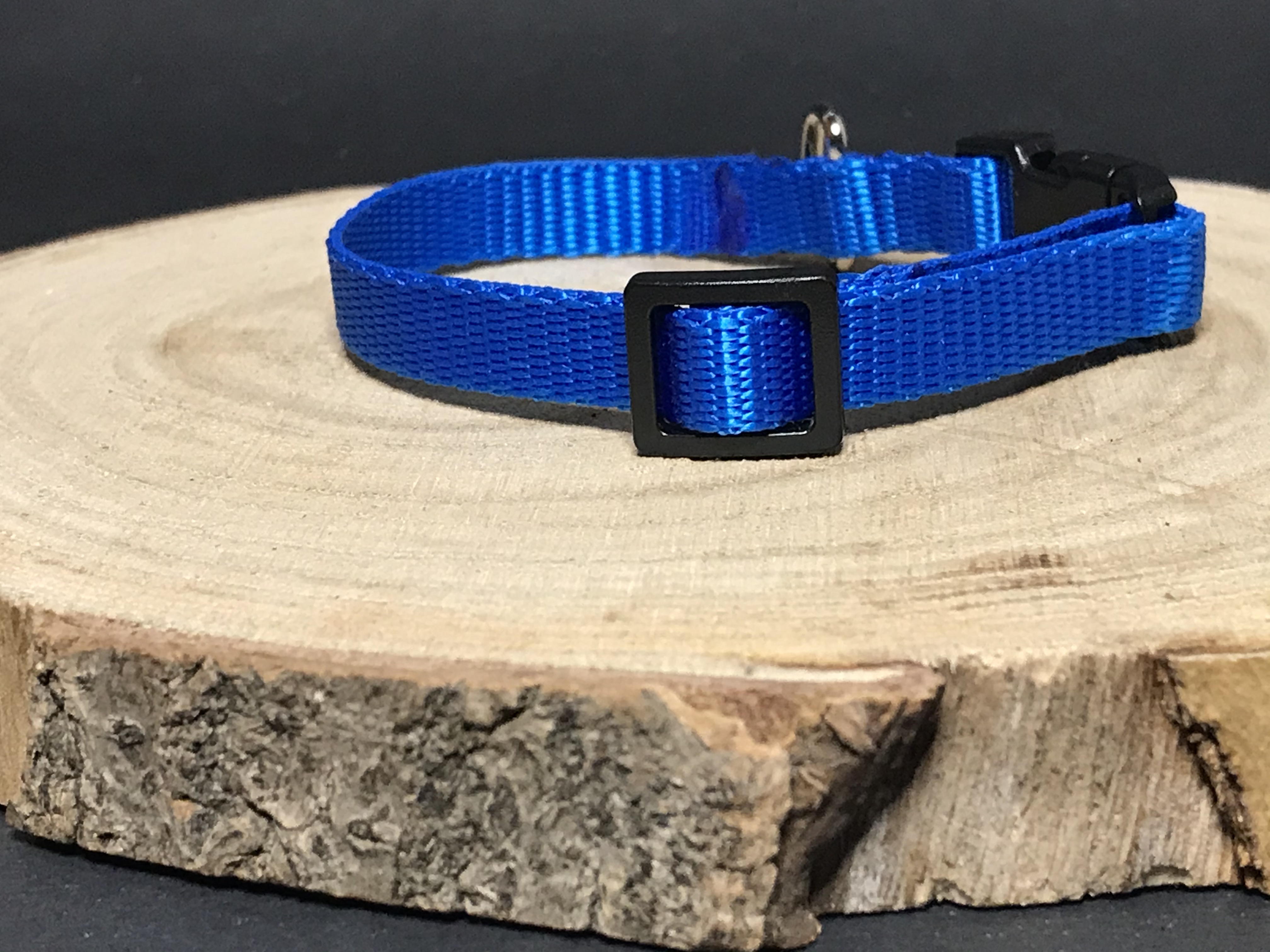 Palkar obojek z popruhu pro psy 25 cm x 10 mm modrá