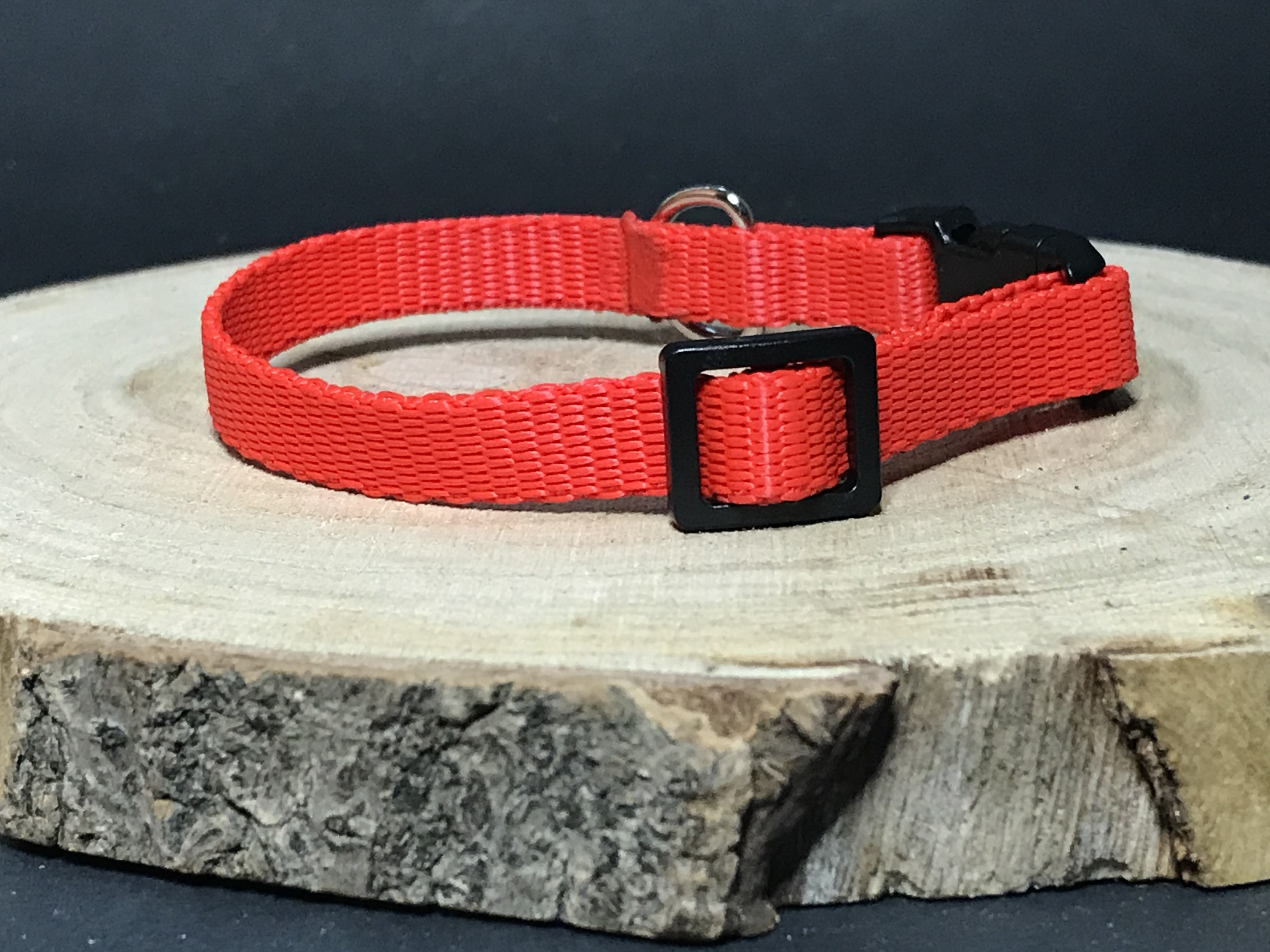 Palkar obojek z popruhu pro psy 25 cm x 10 mm červená