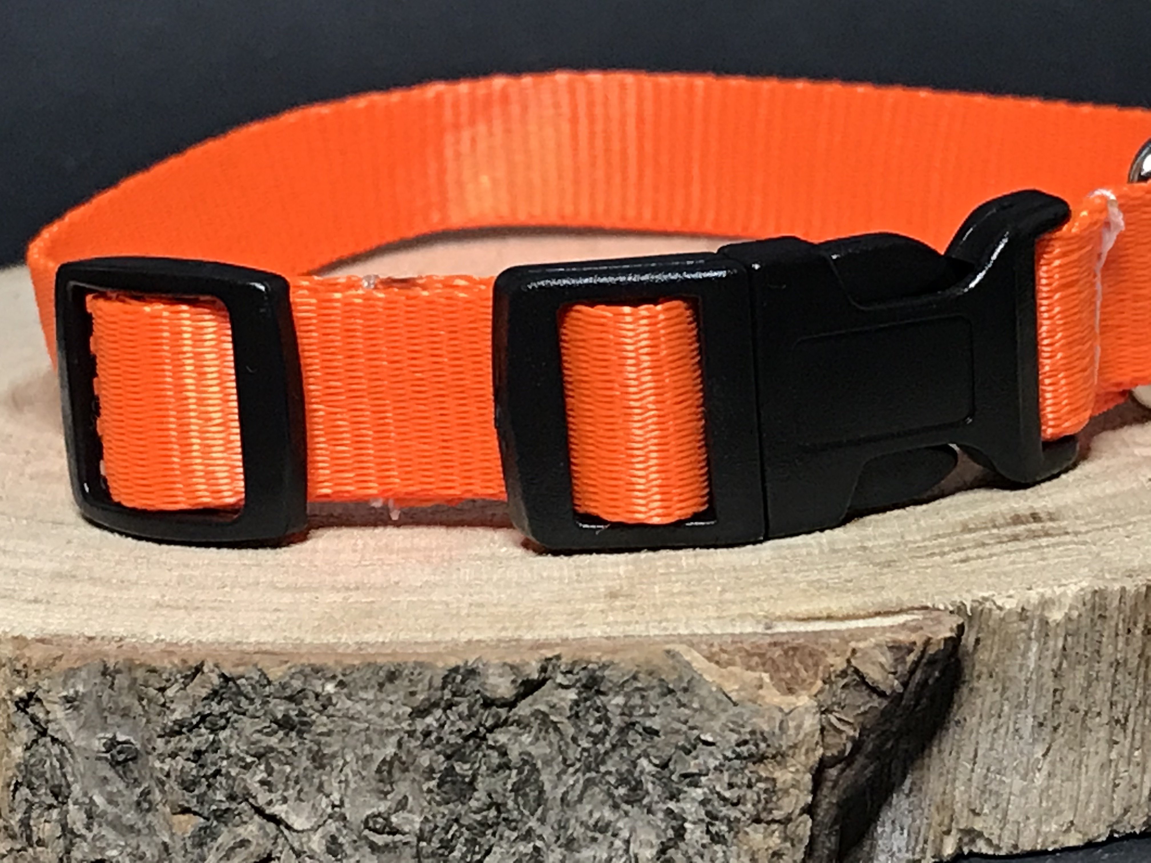 Palkar obojek z popruhu pro psy 35 cm x 16 mm oranžová