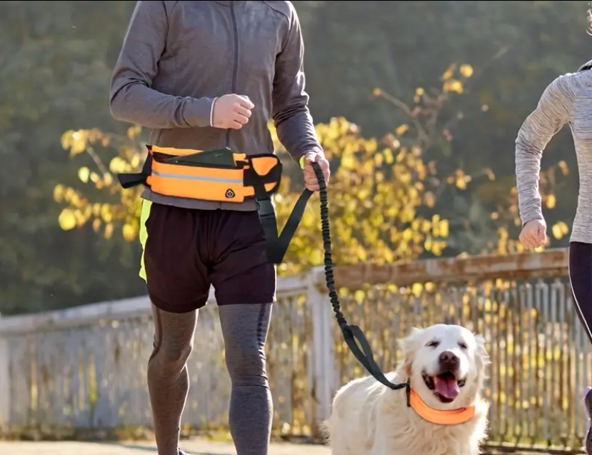 Berry set vodítko na běhání s amortizérem červený