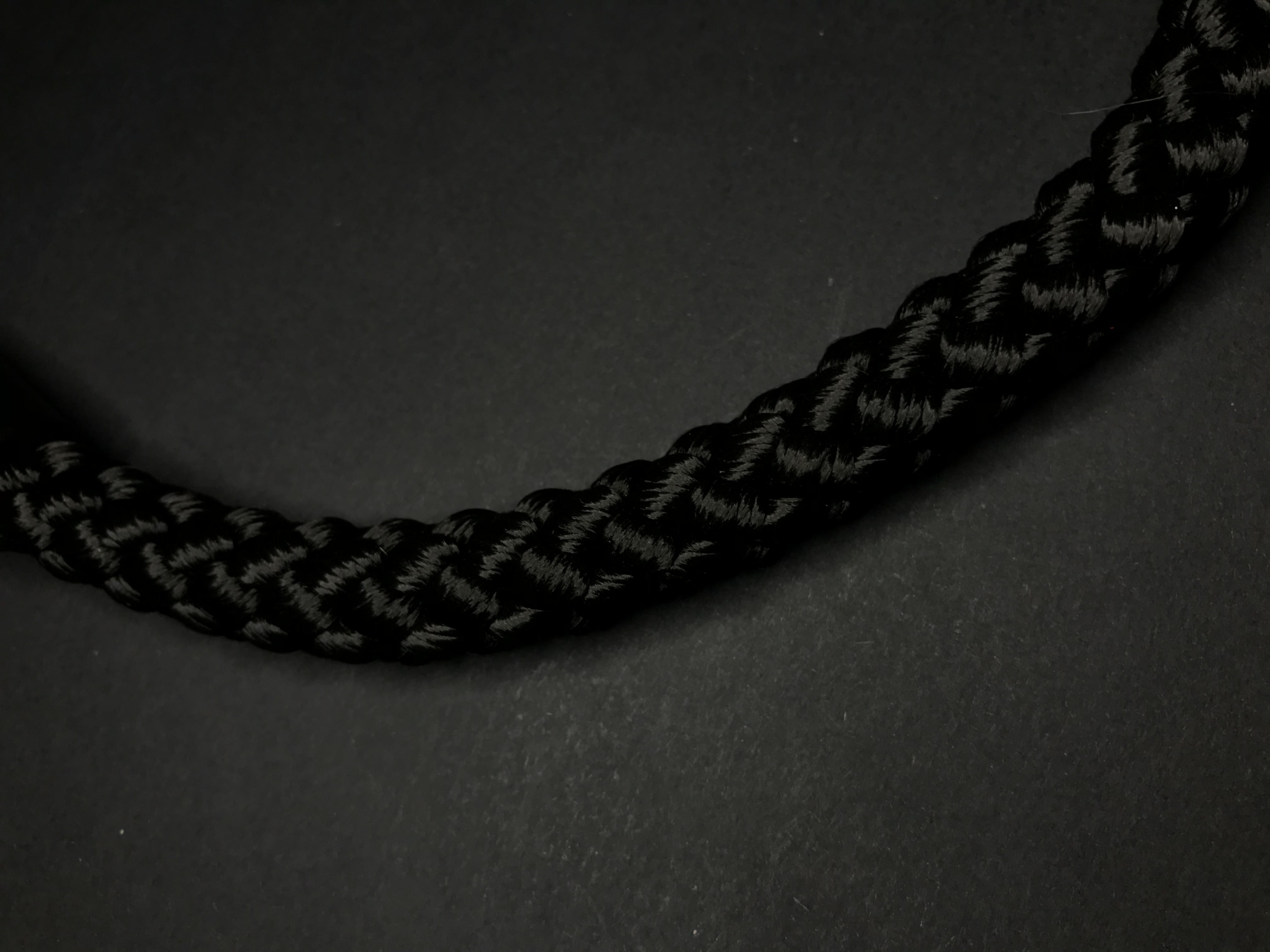 Palkar vodítko ucho pro psy 55 cm x 14 mm černá