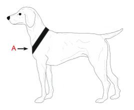 Palkar obojek z velurové kůže pro psy 50 cm x 22 mm červená