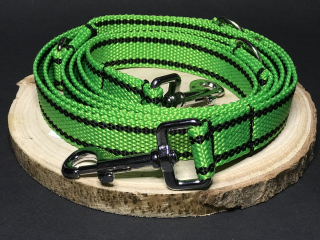 Palkar vodítko přepínací z popruhu pro psy 250 cm x 25 mm světle-zelená s páskami