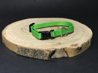 Palkar obojek z popruhu pro psy 25 cm x 10 mm zelená