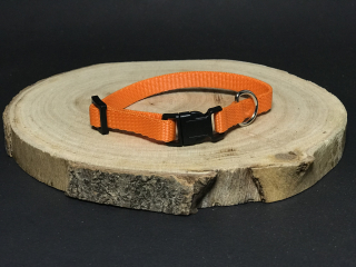 Palkar obojek z popruhu pro psy 25 cm x 10 mm oranžová