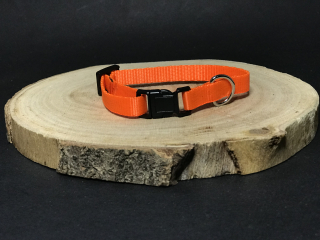 Palkar obojek z popruhu pro psy 25 cm x 10 mm oranžová-lesklá