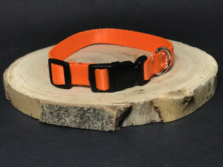 Palkar obojek z popruhu pro psy 35 cm x 16 mm oranžová