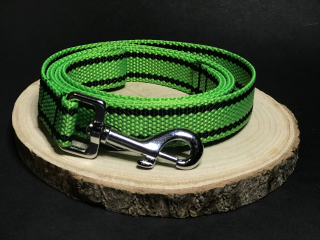 Palkar vodítko z popruhu pro psy 150 cm x 25 mm světle-zelená s páskami